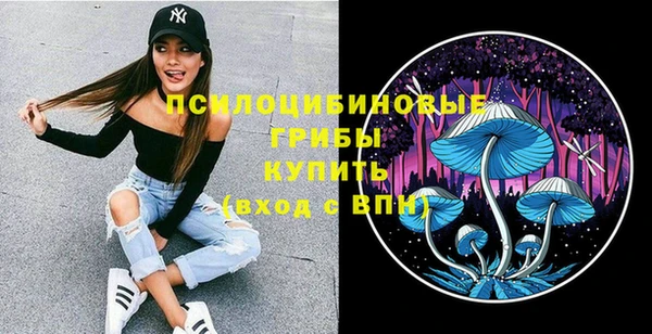 бошки Верея