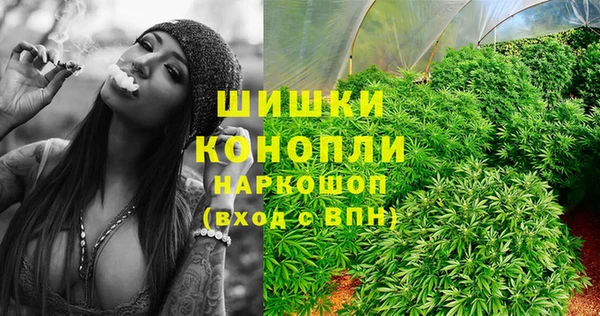 бошки Верея