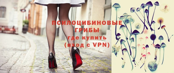 бошки Верея