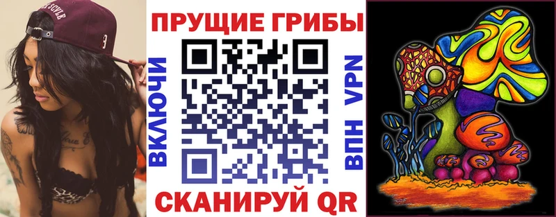 KRAKEN   где продают наркотики  Кировск  Псилоцибиновые грибы мухоморы 